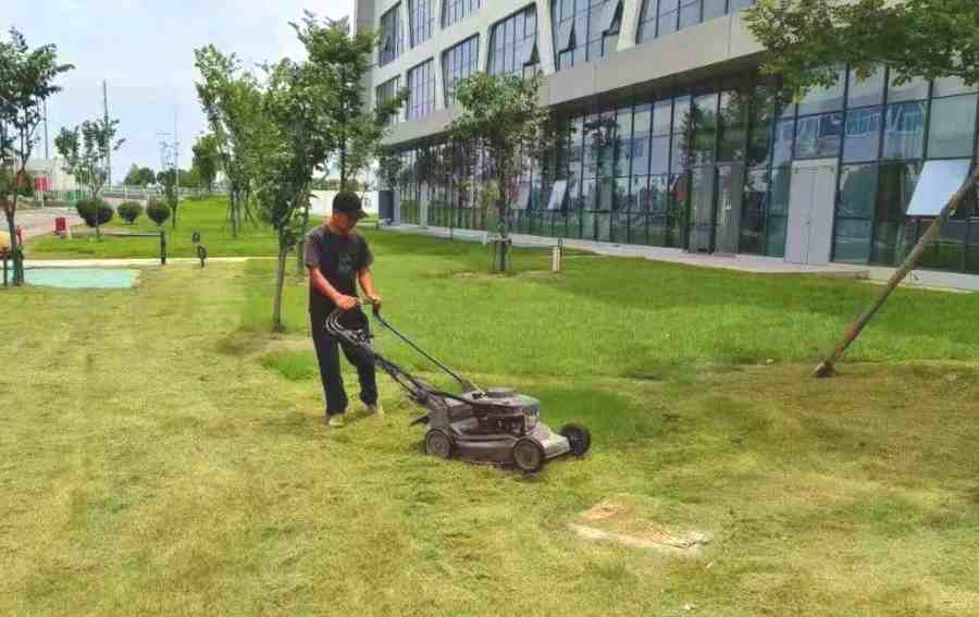 企事業單位綠化養護(圖1)
